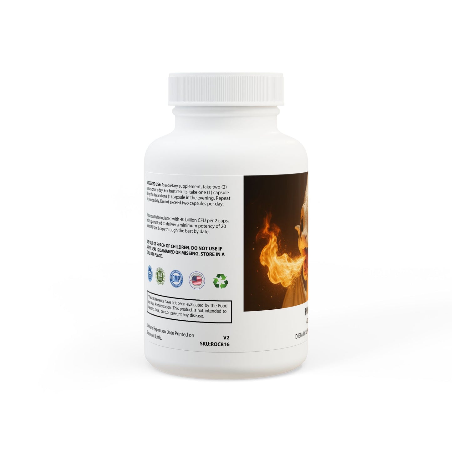 Probiotics Supplement (60 Capsules)